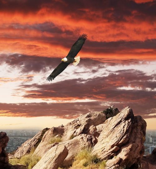 fantasy, rocks, city